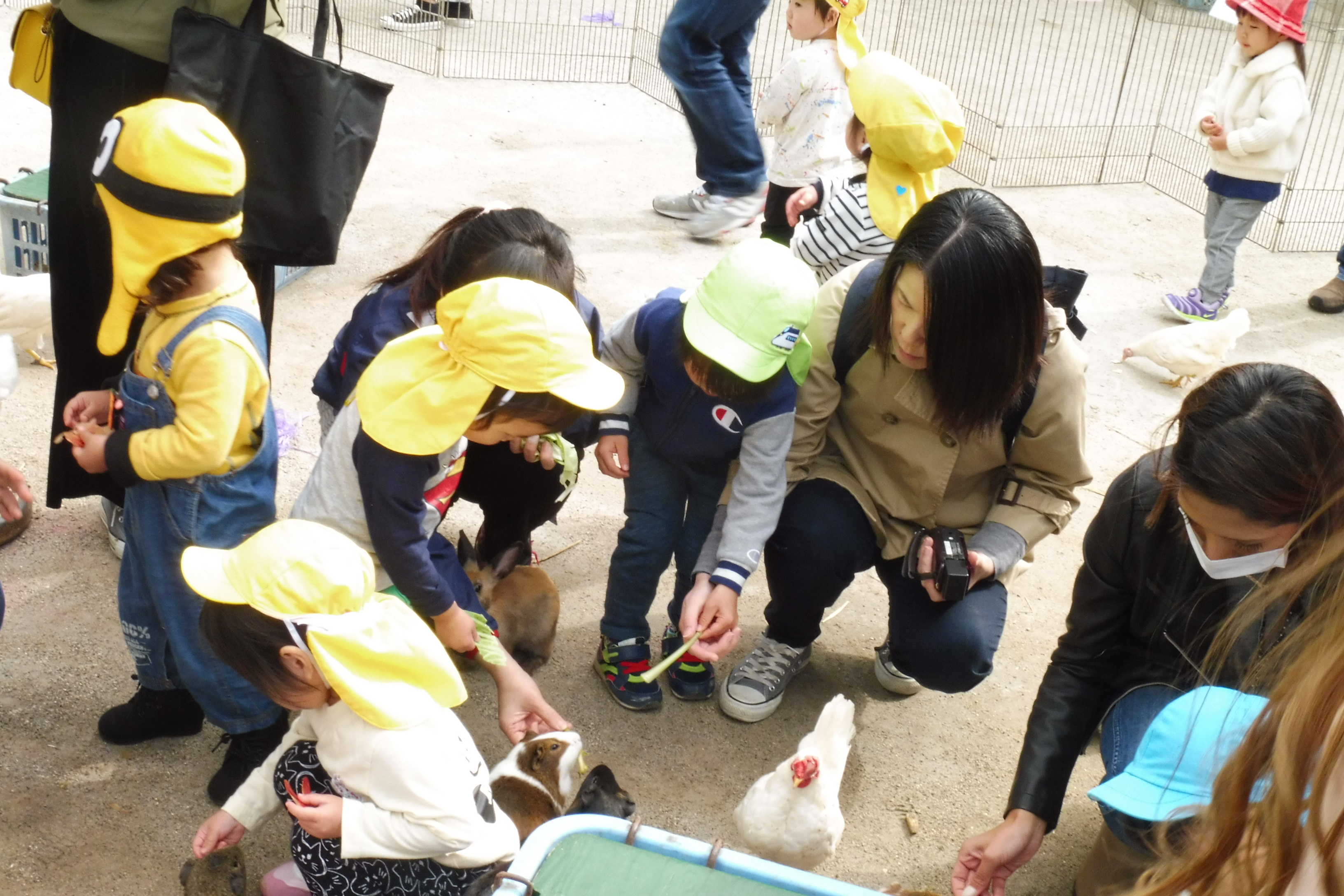 一日どうぶつ村