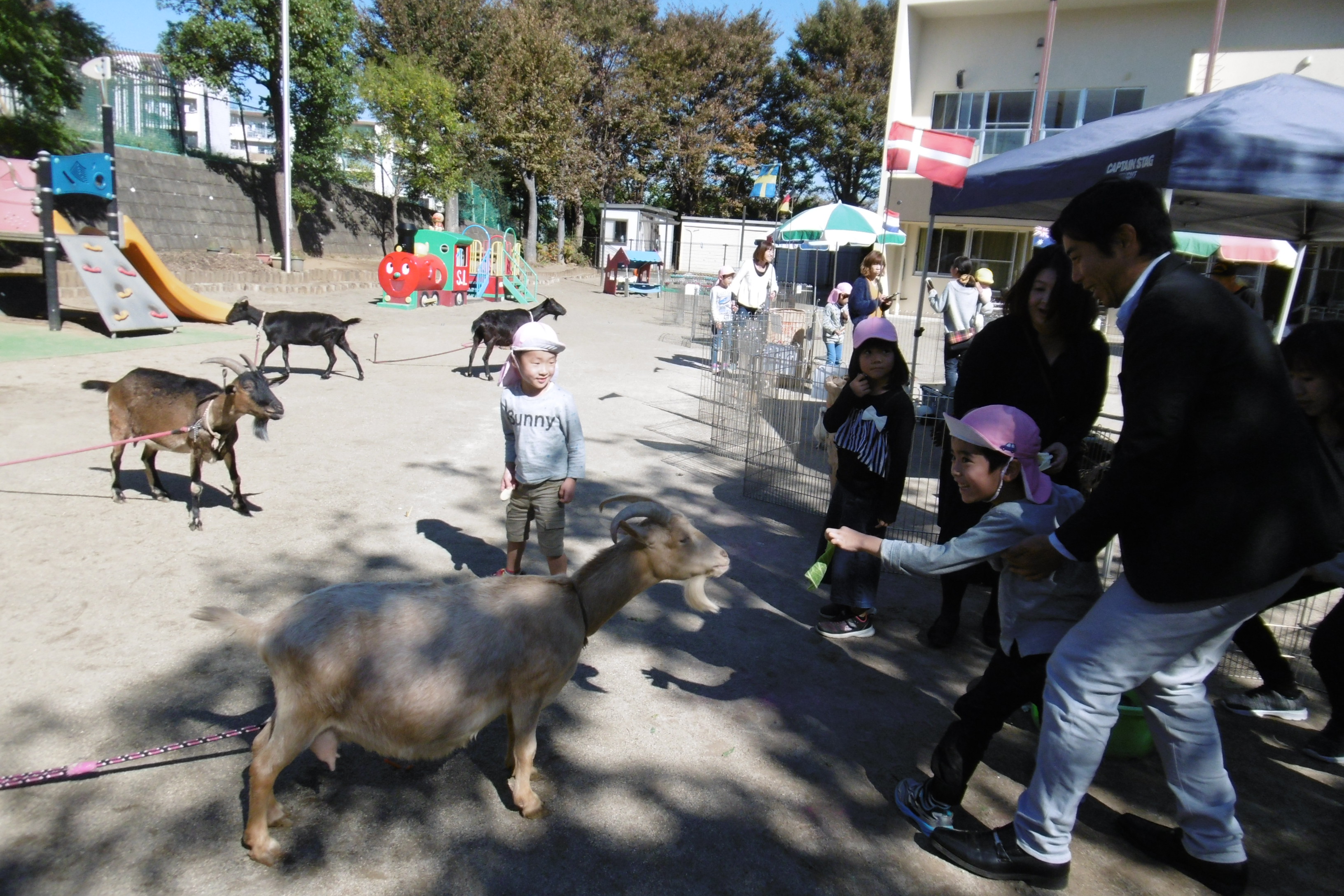 一日どうぶつ村